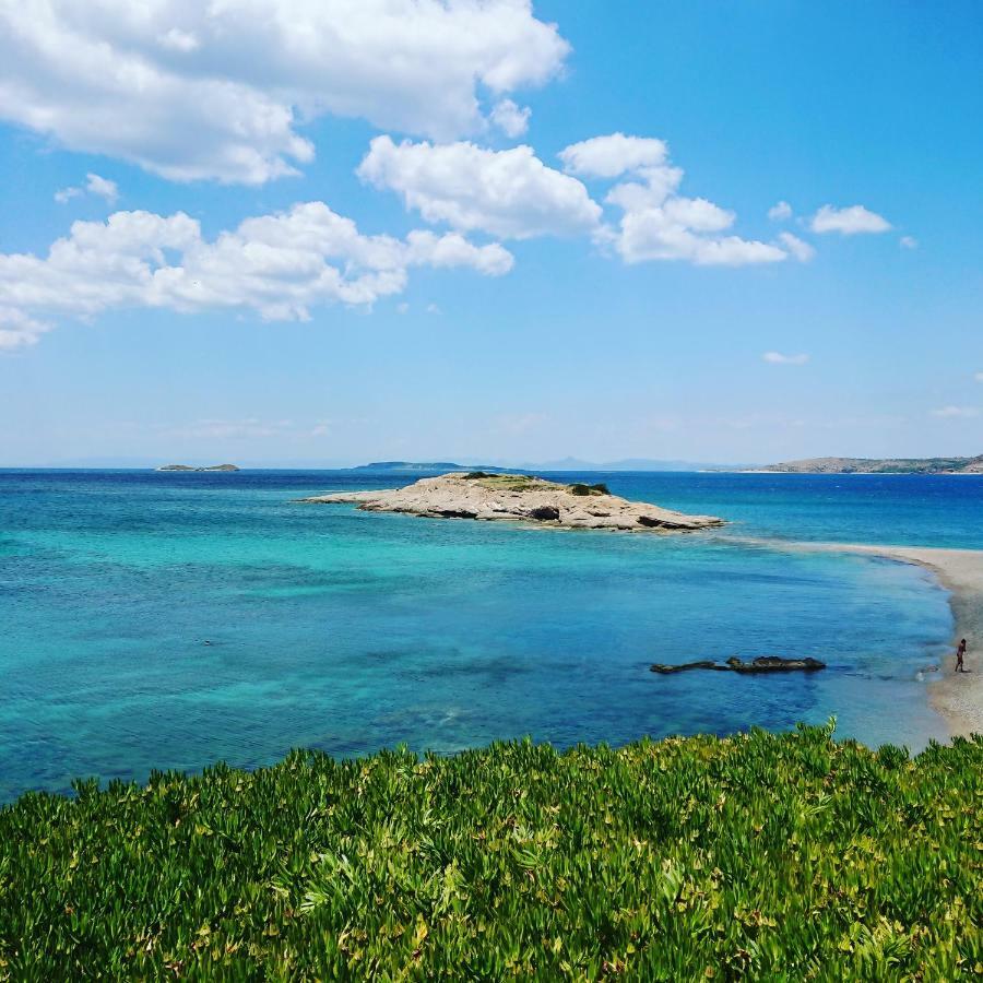 Villa Filoxenia All Seasons, Near Airport, Sea, Athens Agia Marina  Exterior foto