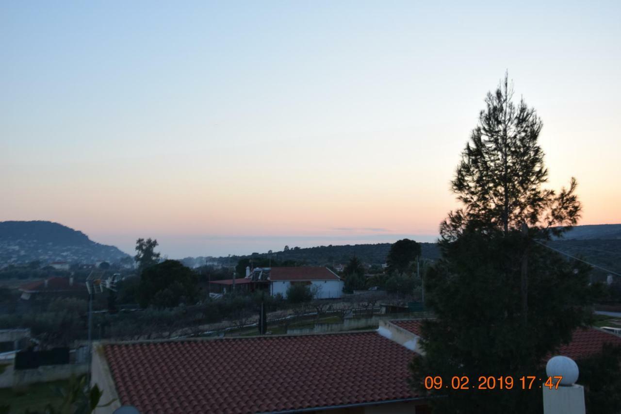 Villa Filoxenia All Seasons, Near Airport, Sea, Athens Agia Marina  Exterior foto